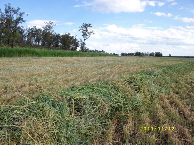 Cecil Plains QLD 4407
