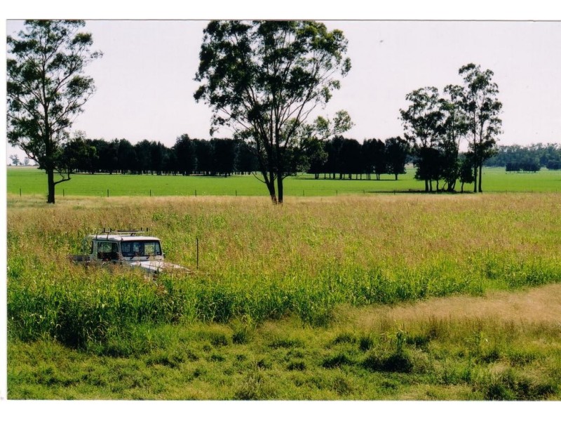 Cecil Plains QLD 4407