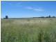 Meandarra QLD 4422