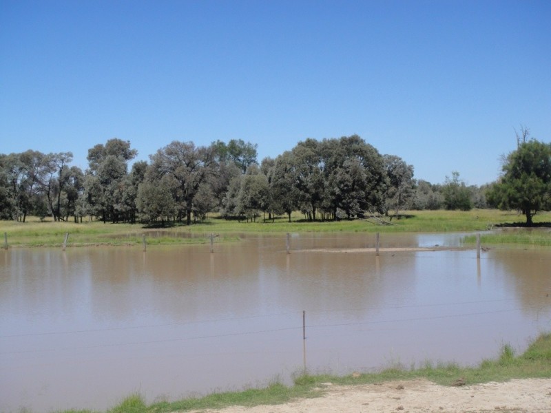 Meandarra QLD 4422