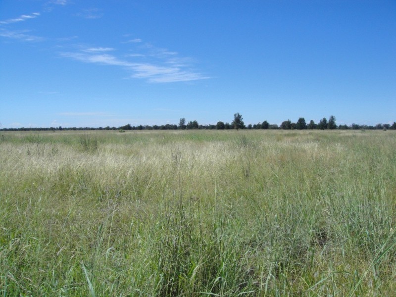 Meandarra QLD 4422
