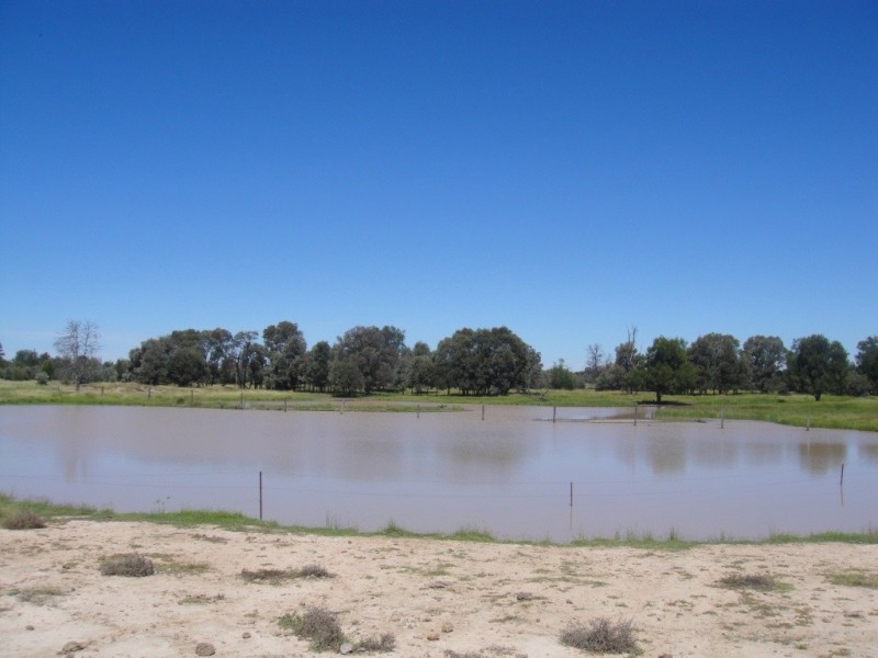 Meandarra QLD 4422