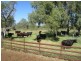 Meandarra QLD 4422