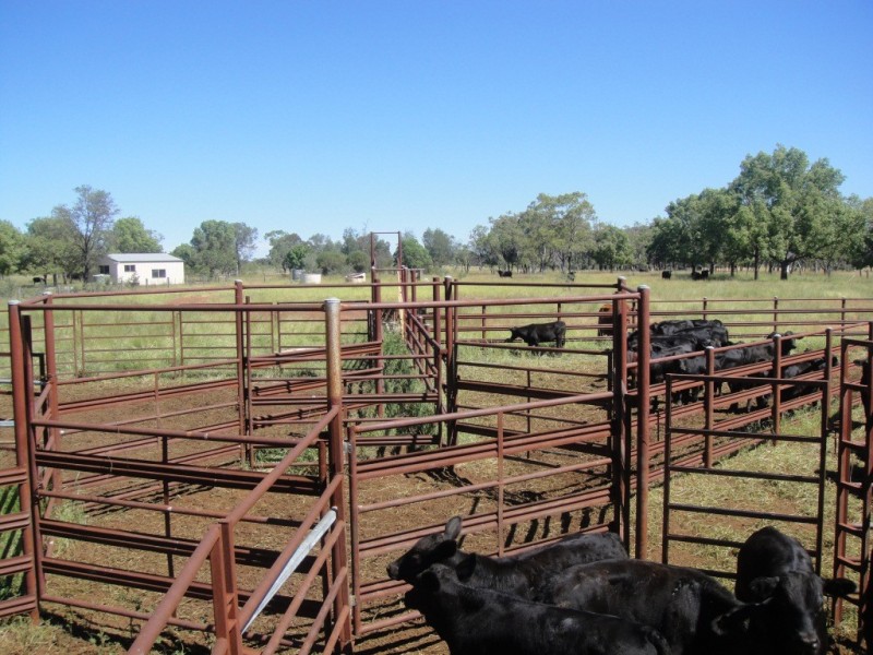 Meandarra QLD 4422