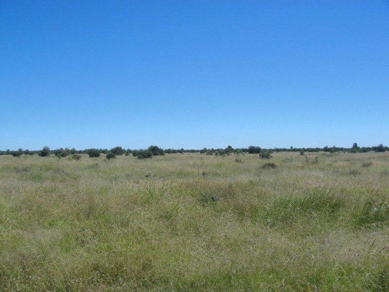 Meandarra QLD 4422