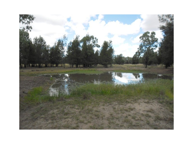 L 26 LEICHHARDT H’WAY, Condamine QLD 4416