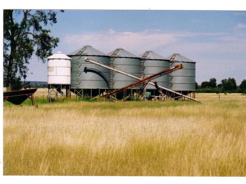 Cecil Plains QLD 4407