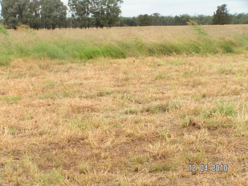 Cecil Plains QLD 4407