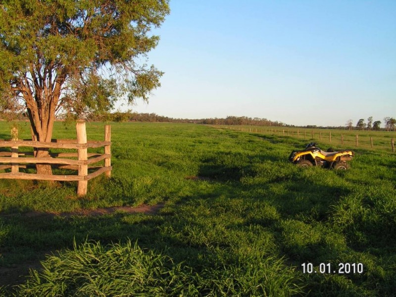Cecil Plains QLD 4407