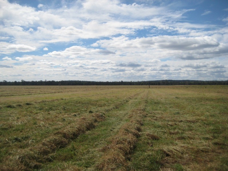 Cecil Plains QLD 4407