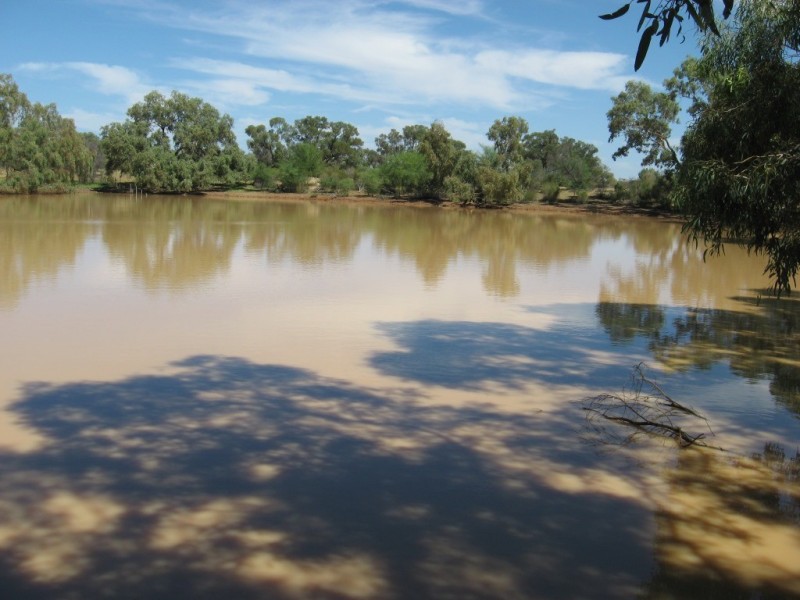 Quilpie QLD 4480