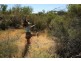 Quilpie QLD 4480
