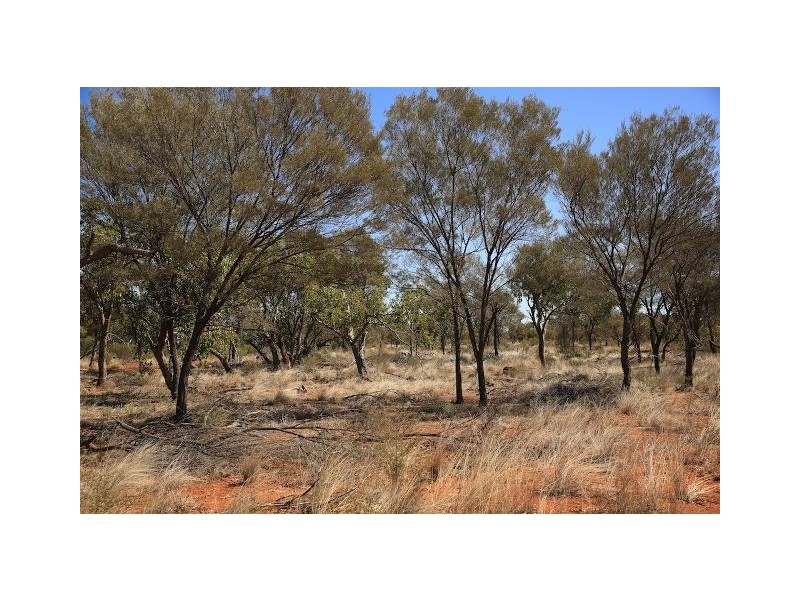 Quilpie QLD 4480