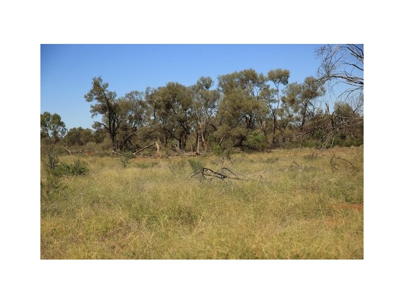 Quilpie QLD 4480