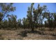 Quilpie QLD 4480