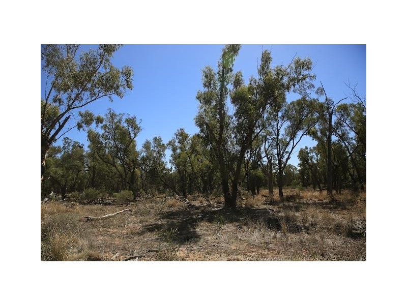 Quilpie QLD 4480