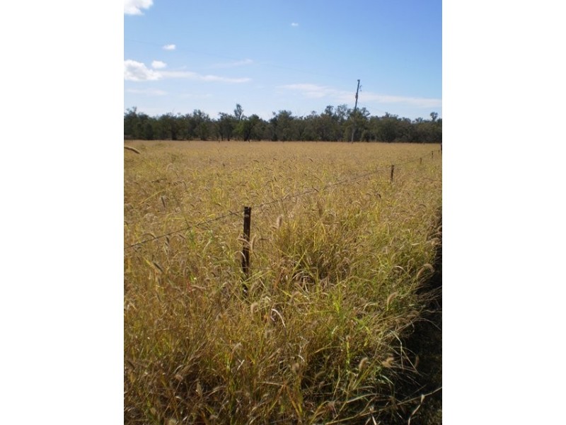 ” Silverbeck and Nunbank”, Taroom QLD 4420