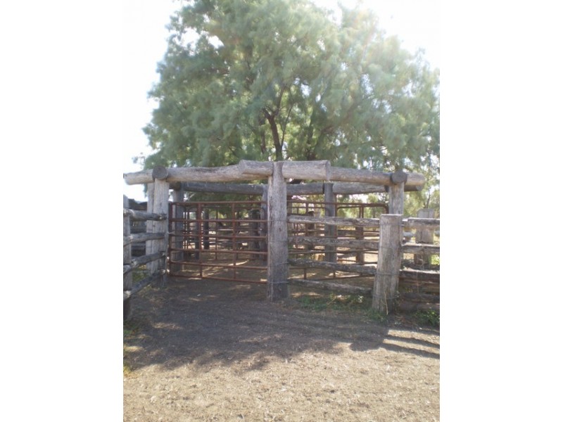 ” Silverbeck and Nunbank”, Taroom QLD 4420