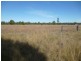 Miles QLD 4415