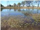 Miles QLD 4415