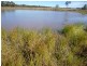 Miles QLD 4415