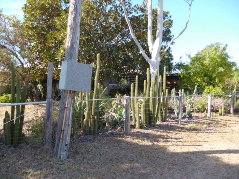 Miles QLD 4415
