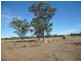 Miles QLD 4415