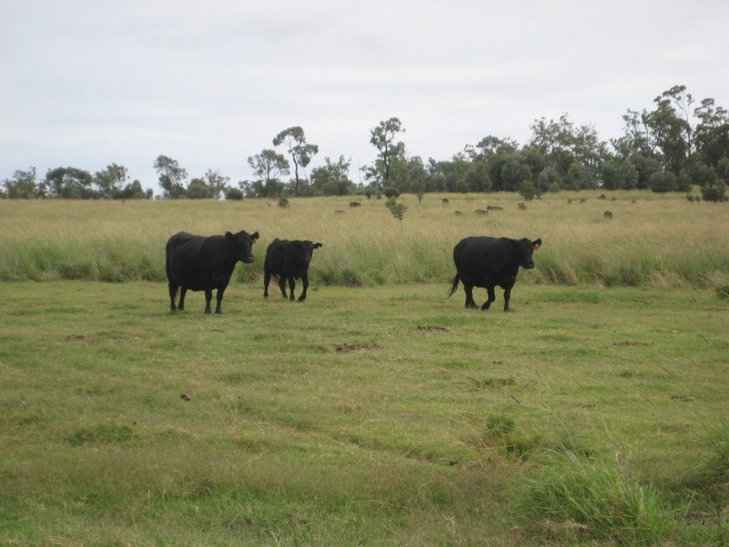 Millmerran QLD 4357