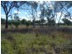 41 QUEEN STREET, Amby QLD 4462