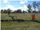 41 QUEEN STREET, Amby QLD 4462