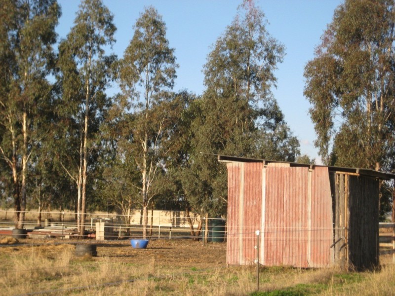 Dalby QLD 4405