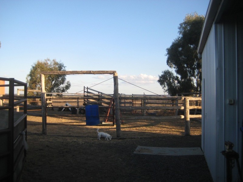 Dalby QLD 4405