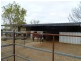 296 ROMA DOWNS, Roma QLD 4455