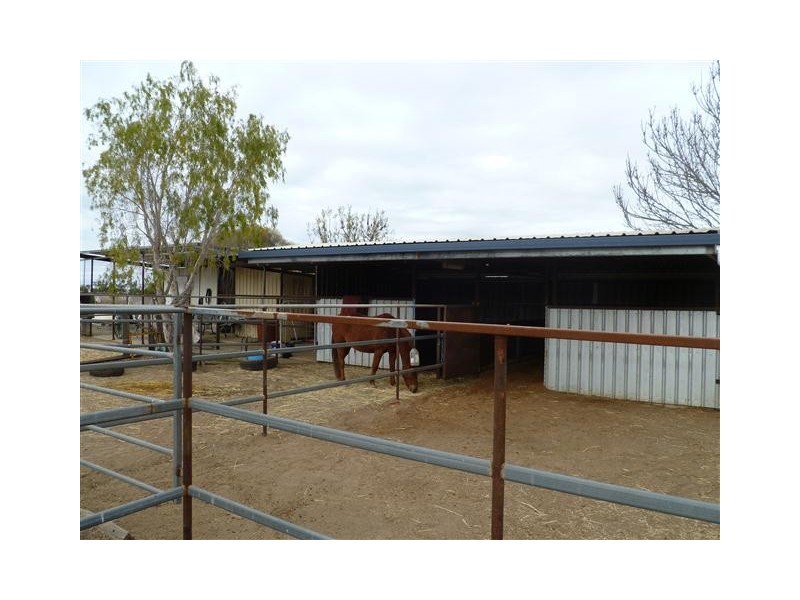 296 ROMA DOWNS, Roma QLD 4455