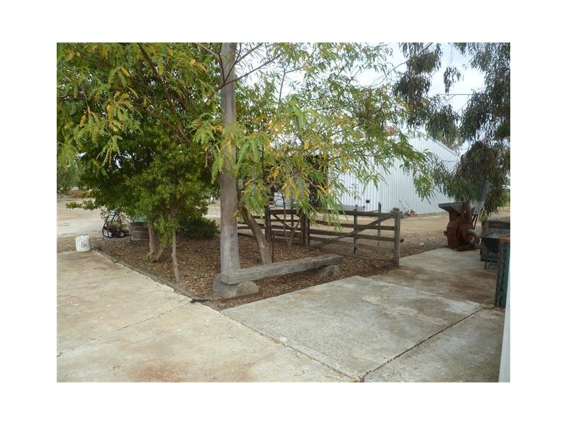 296 ROMA DOWNS, Roma QLD 4455