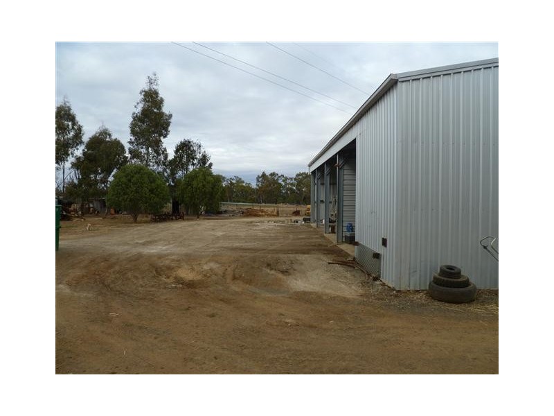 296 ROMA DOWNS, Roma QLD 4455