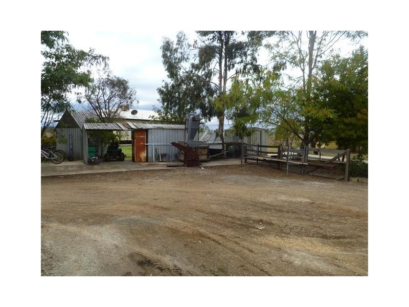 296 ROMA DOWNS, Roma QLD 4455