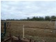 296 ROMA DOWNS, Roma QLD 4455