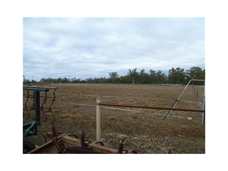 296 ROMA DOWNS, Roma QLD 4455