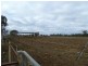 296 ROMA DOWNS, Roma QLD 4455