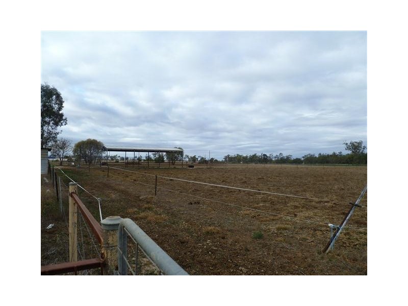 296 ROMA DOWNS, Roma QLD 4455