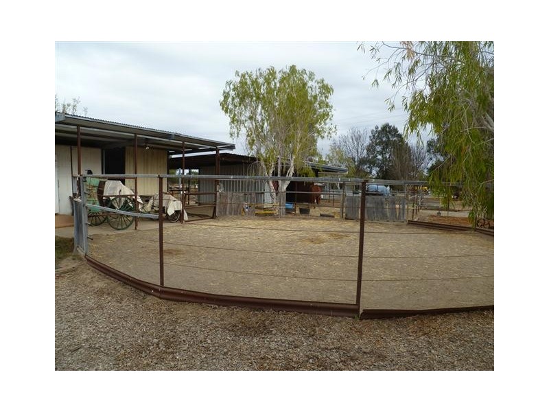 296 ROMA DOWNS, Roma QLD 4455