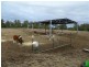 296 ROMA DOWNS, Roma QLD 4455