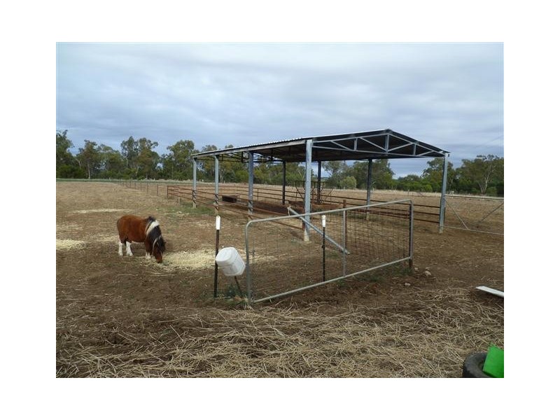 296 ROMA DOWNS, Roma QLD 4455