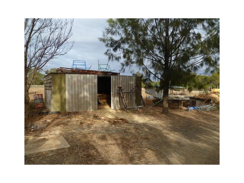 296 ROMA DOWNS, Roma QLD 4455