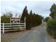 296 ROMA DOWNS, Roma QLD 4455
