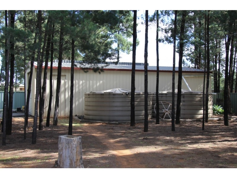 46 Beasley Street, Chinchilla QLD 4413