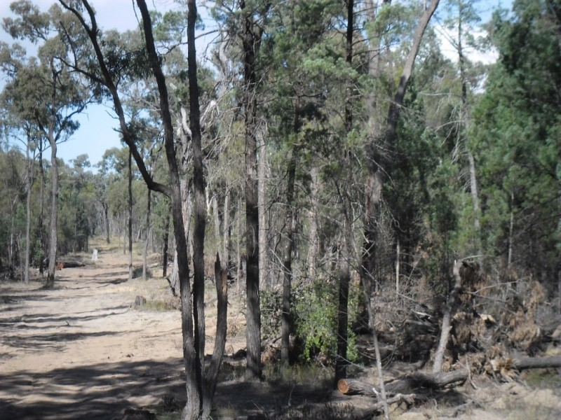 3 Ayton Road, Miles QLD 4415