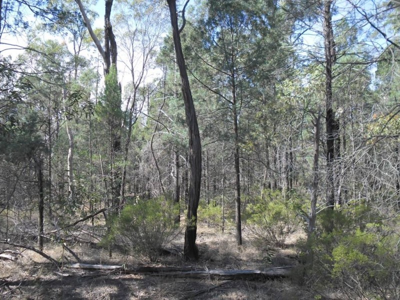 3 Ayton Road, Miles QLD 4415