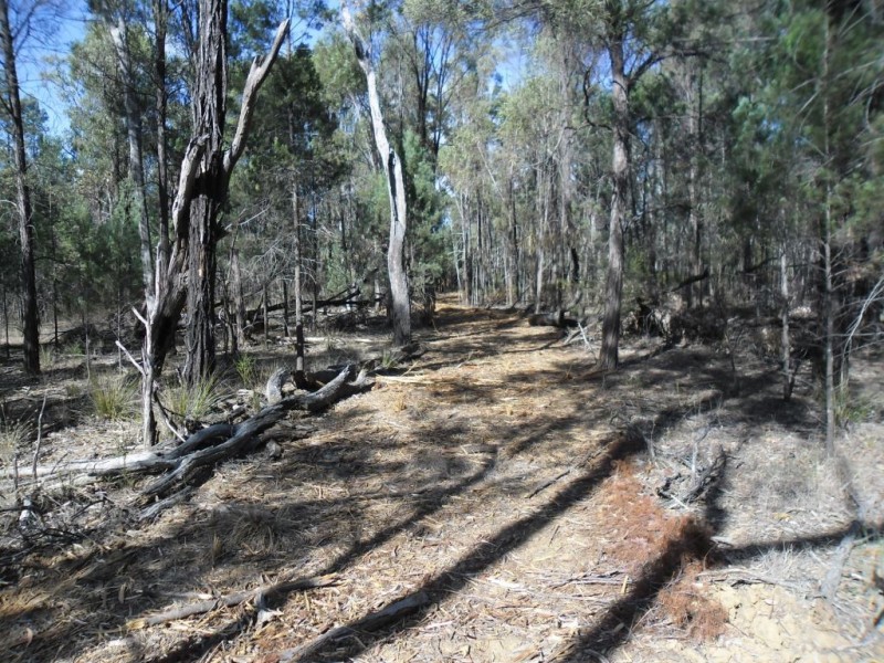 3 Ayton Road, Miles QLD 4415